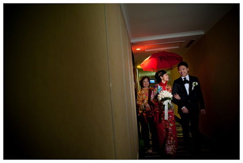 Terry.L Photography 记录您每一个珍贵时刻的专业捕捉者